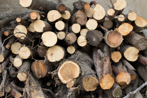 A pile of freshly cut tree trunks piled up to use as firewood in winter for the fireplace. Ecological wood fuel.