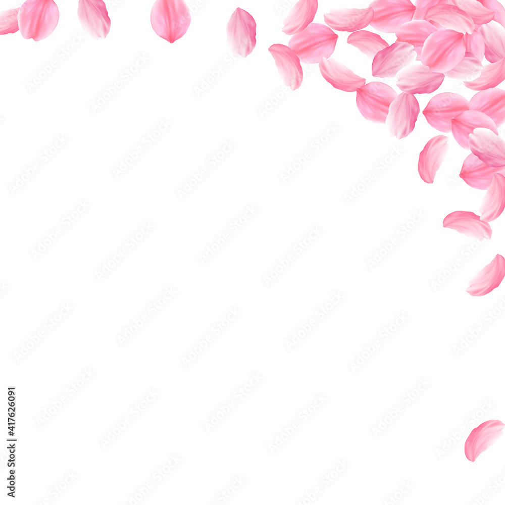 Sakura petals falling down. Romantic pink bright big flowers. Thick flying cherry petals. Square rig