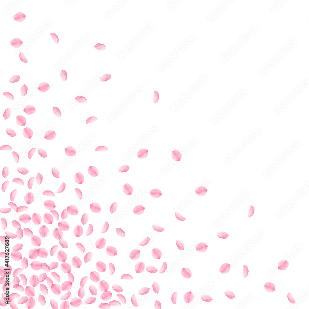 Sakura petals falling down. Romantic pink silky small flowers. Thick flying cherry petals. Scattered