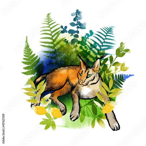 cats family vector sketch