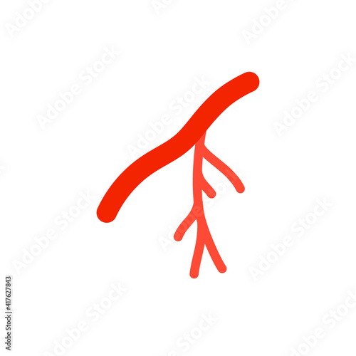 Human artery coloured icon. Flat style can be used for web, mobile, ui. Blood, vessel, artery, vascular, vein, cardiovascular, heart concept. Vector illustration isolated on white background. EPS 10.