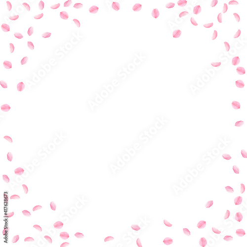 Sakura petals falling down. Romantic pink silky small flowers. Sparse flying cherry petals. Corner f