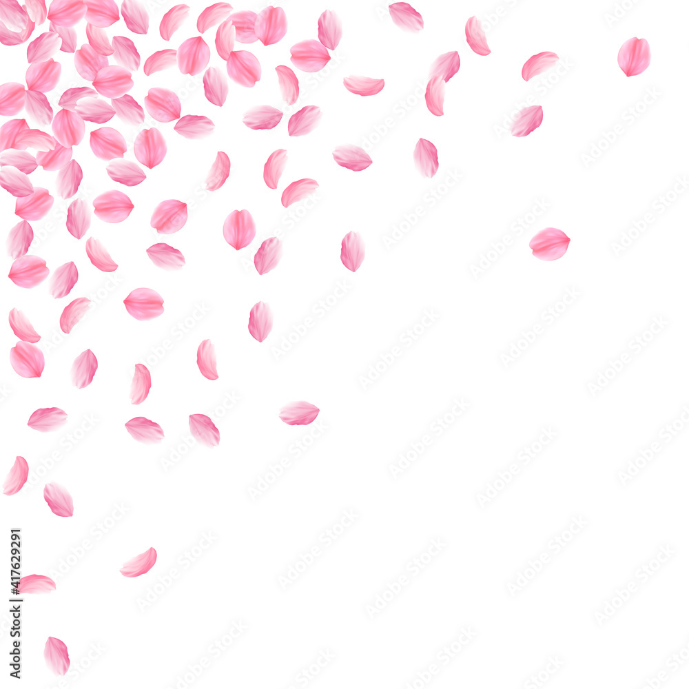 Sakura petals falling down. Romantic pink bright medium flowers. Thick flying cherry petals. Scatter