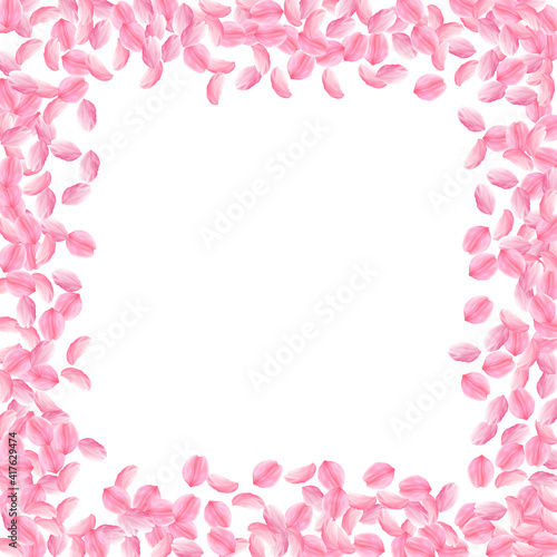 Sakura petals falling down. Romantic pink bright medium flowers. Thick flying cherry petals. Square © Begin Again