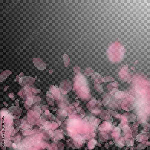 Fototapeta Naklejka Na Ścianę i Meble -  Sakura petals falling down. Romantic pink flowers gradient. Flying petals on transparent square back