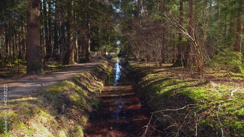 Timelapse of an idyllic creek leading through a forest with a little path for hiking on the left side. photo