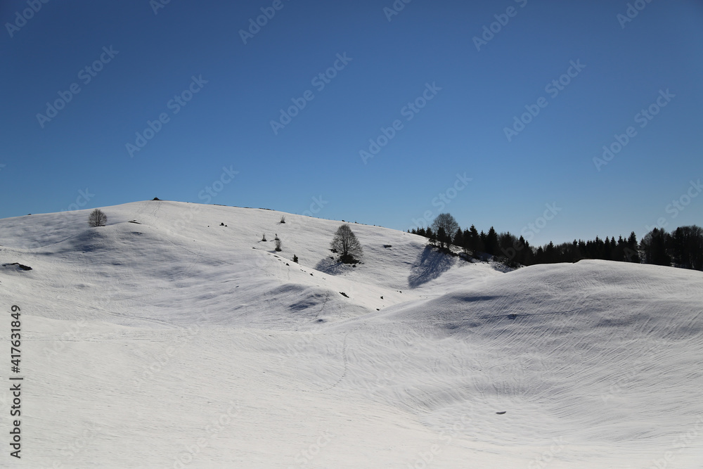 View of the landscape near the Col Dei S'Cios in Friuli Venezia Giulia, Italy
