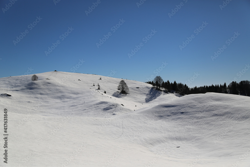 Obraz premium View of the landscape near the Col Dei S'Cios in Friuli Venezia Giulia, Italy