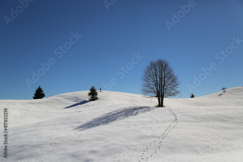 View of the landscape near the Col Dei S'Cios in Friuli Venezia Giulia, Italy