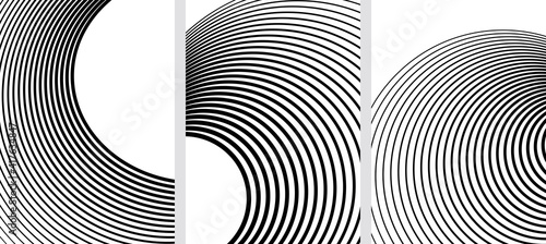 White black color. Linear background. Design elements. Wave of many gray lines. Protective layer banknotes, certificates template. Vector lines of different thicknesses from thin to thick EPS10