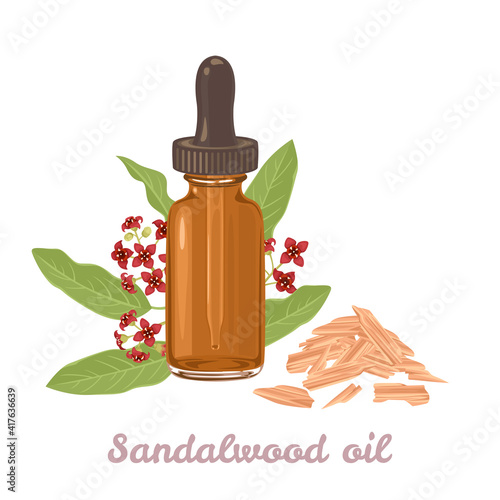 Sandalwood essential  oil amber glass dropper bottle isolated on white background. Sticks and fragrant flowers. Vector illustration in cartoon flat style.