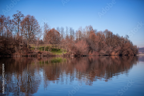 forest reflected in the lake in autumn season. wild landscape with leafless trees by the calm water