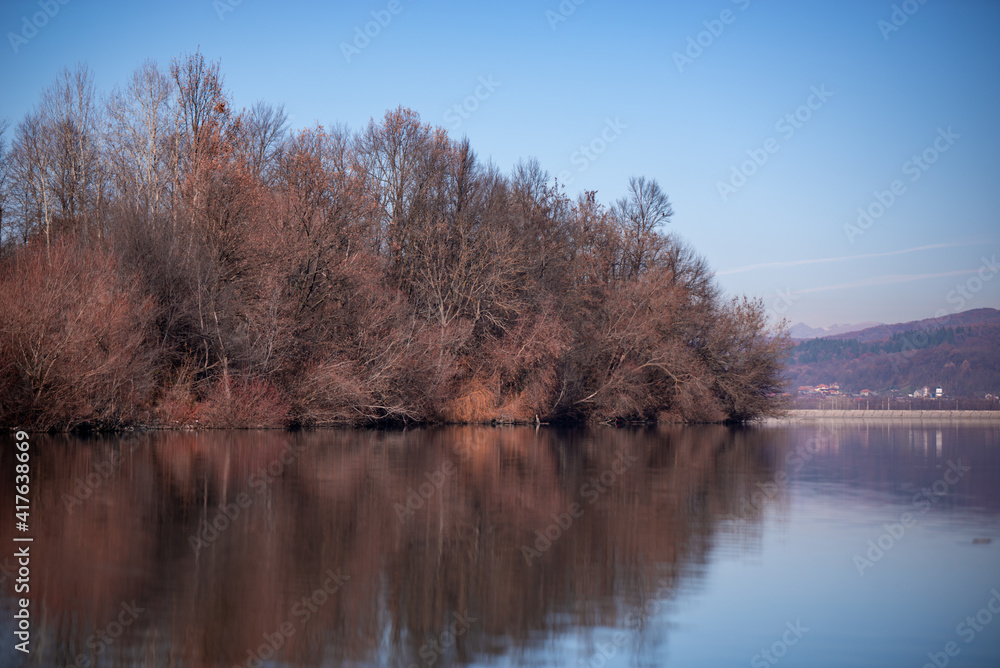 forest reflected in the lake in autumn season. wild landscape with leafless trees by the calm water forest reflected in the lake in autumn season. wild landscape with leafless trees by the calm water