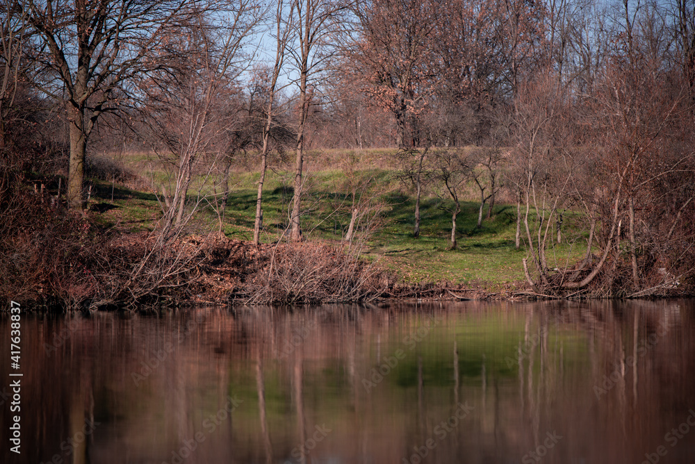 forest reflected in the lake in autumn season. wild landscape with leafless trees by the calm water forest reflected in the lake in autumn season. wild landscape with leafless trees by the calm water