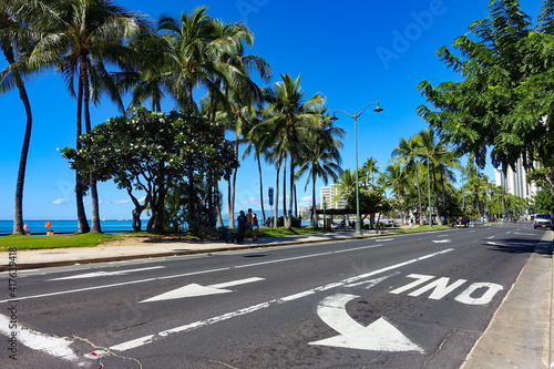 wakiki beach, hawaii, Oahu , Honolulu, palm, road, tree, beach, sky, street, tropical, blue, summer, green, travel, palm trees, nature, trees, palms, coconut, florida, city, sand, island, landscape, c photo