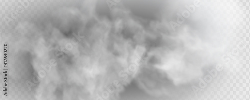 Transparent special effect stands out with fog or smok