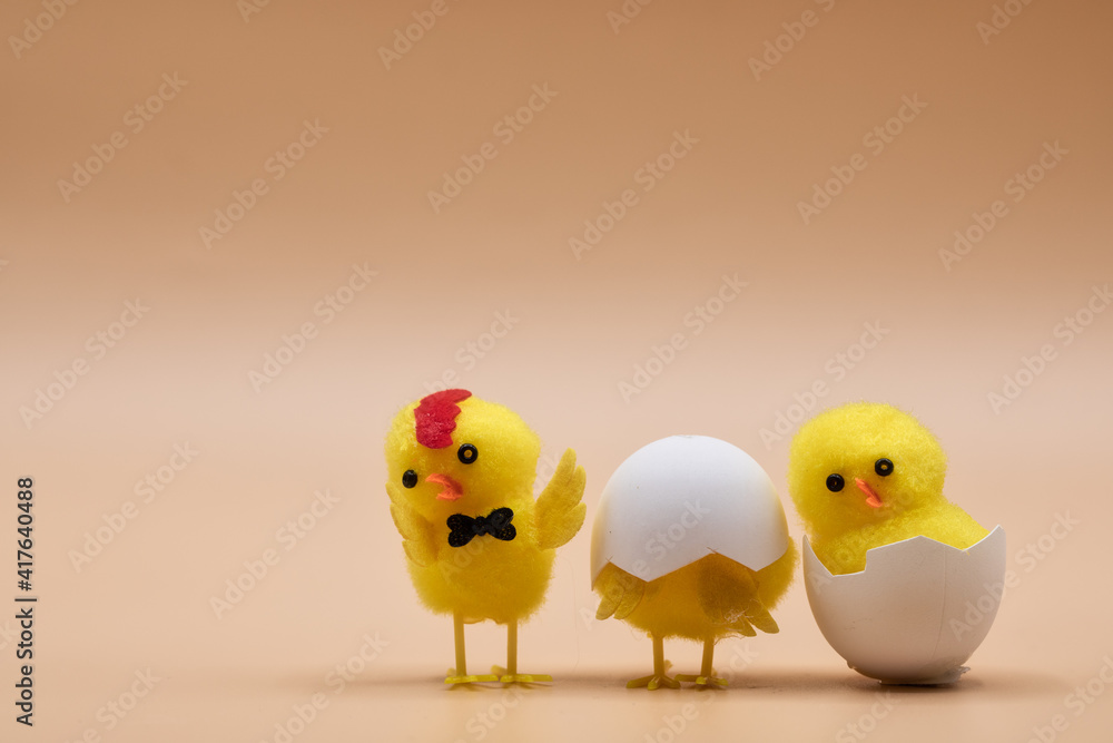 yellow baby chick close up singing loudly. orange happy easter background yellow baby chick close up singing loudly. orange happy easter background