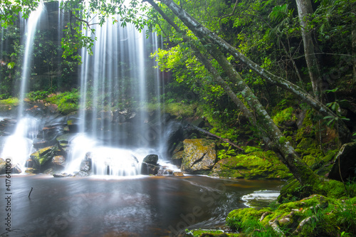 waterfall in the forest