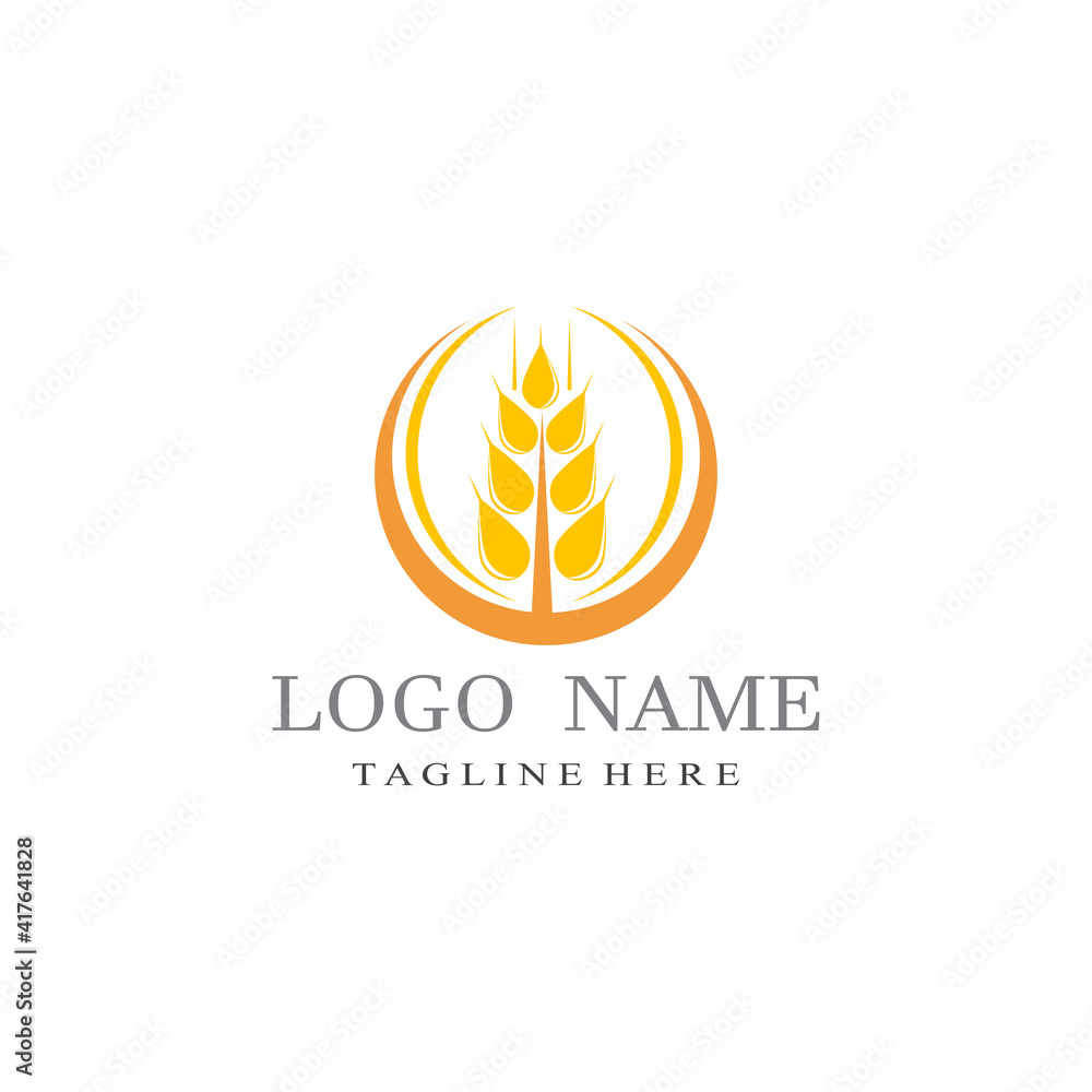 Obraz premium Agriculture wheat vector icon design