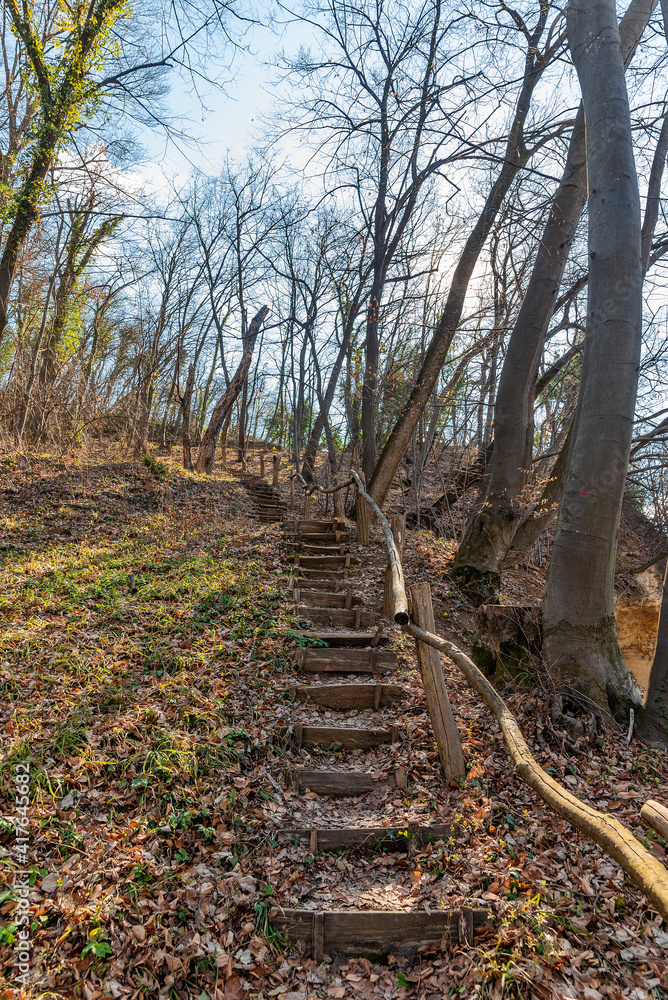 Staircase leading through the forest. Forest Path Staircase leading through the forest. Forest Path