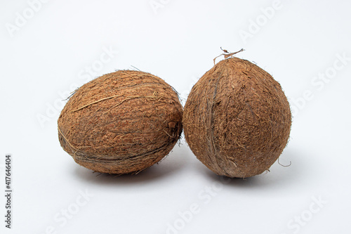 Isolated coconut on a white background. Two coconuts in the center of the image. Healthy food