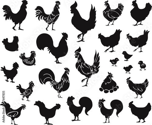 Vector illustration set of black silhouettes of hens, roosters, chicks and eggs isolated on a white background. Farm birds design.