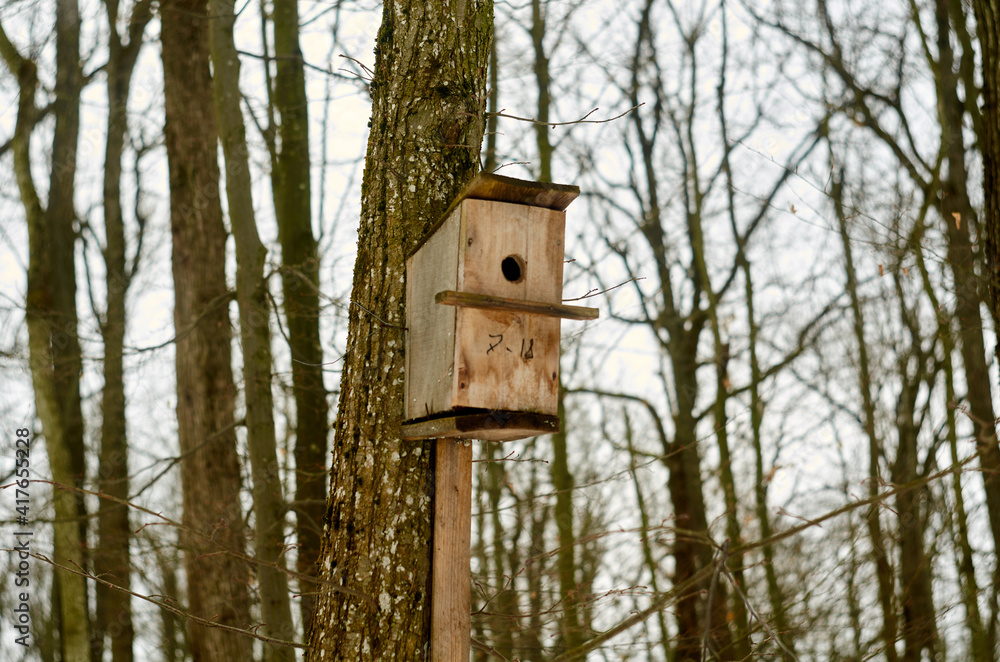 Wooden birds house on the tree