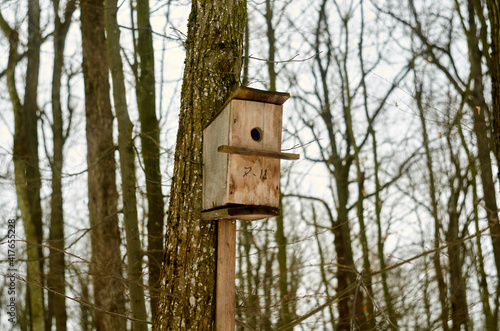 Wooden birds house on the tree