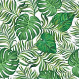 Tropical vector pattern with jungle leaves. Trendy summer print. Exotic seamless background.