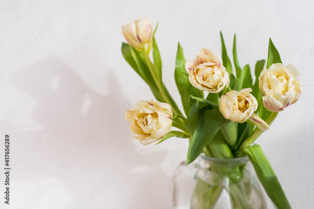 Fototapeta premium Bouquet of beautiful tulips. Copy space. International Women's Day celebration. White wall background. Scandinavian interior.