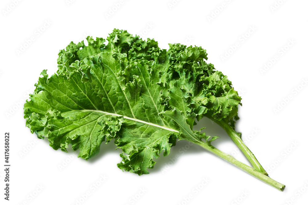 close-up fresh Kale leaves isolated on white background with clipping path close-up fresh Kale leaves isolated on white background with clipping path