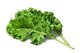 close-up fresh Kale leaves isolated on white background with clipping path   