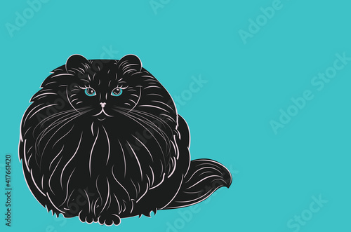Fat and furry cat