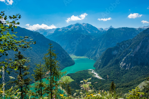 Blick von oben auf Königssee und Alpen mit Bäumen im Vordergrund