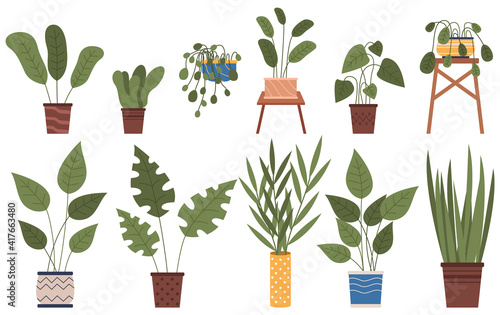 Set of pot with houseplant isolated at white. Vector flowerpot of decorative green plant with long leaves in ceramic pot. Indoor plant concept of domestic greenery. Icon for home interior plant