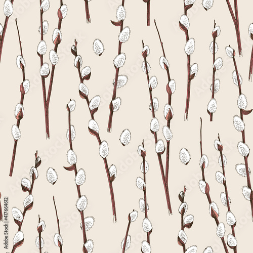 Hand drawn spring willow branches with buds