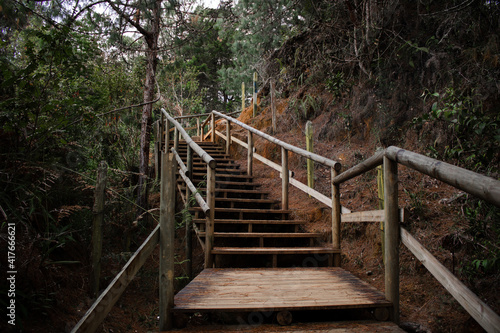 Escaleras de madera