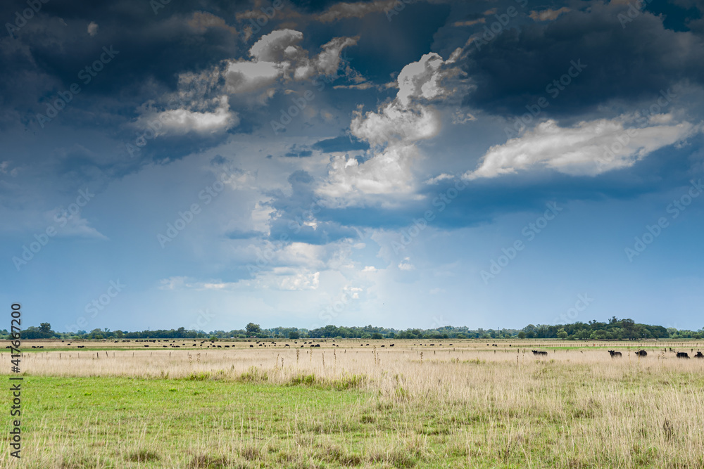 Obraz premium Stormy sky in a rural environment
