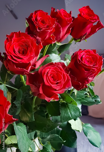 Spring composition of red roses. 