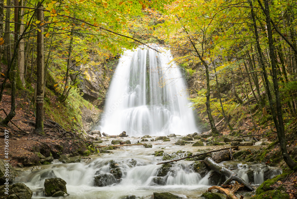 breathtaking waterfall in the autumnal forest, Josefsthal upper bavaria