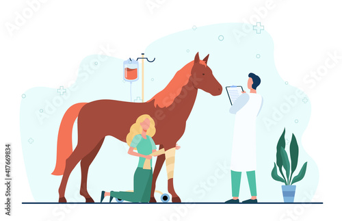 Veterinarian giving treatment to horse. Pet doctor, foal, trauma. Flat vector illustration. Veterinary clinic, animal care, stabling concept for banner, website design or landing web page