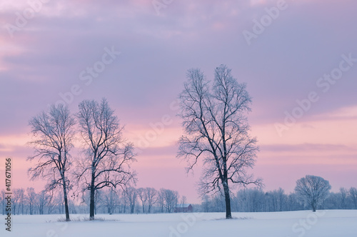 Winter, rural landscape of bare trees at dawn, Michigan, USA © Dean Pennala
