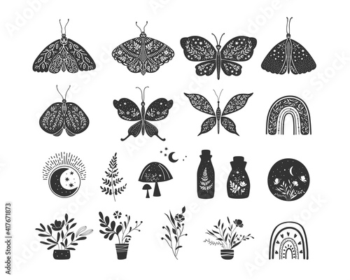 Boho butterfly vector set. Hand drawn graphics