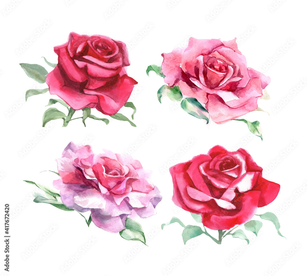 Fototapeta premium Set of pink and red roses. Watercolor Illustration. Isolated