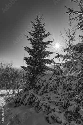 B  l   Karpaty v zim    winter  forester  mounts