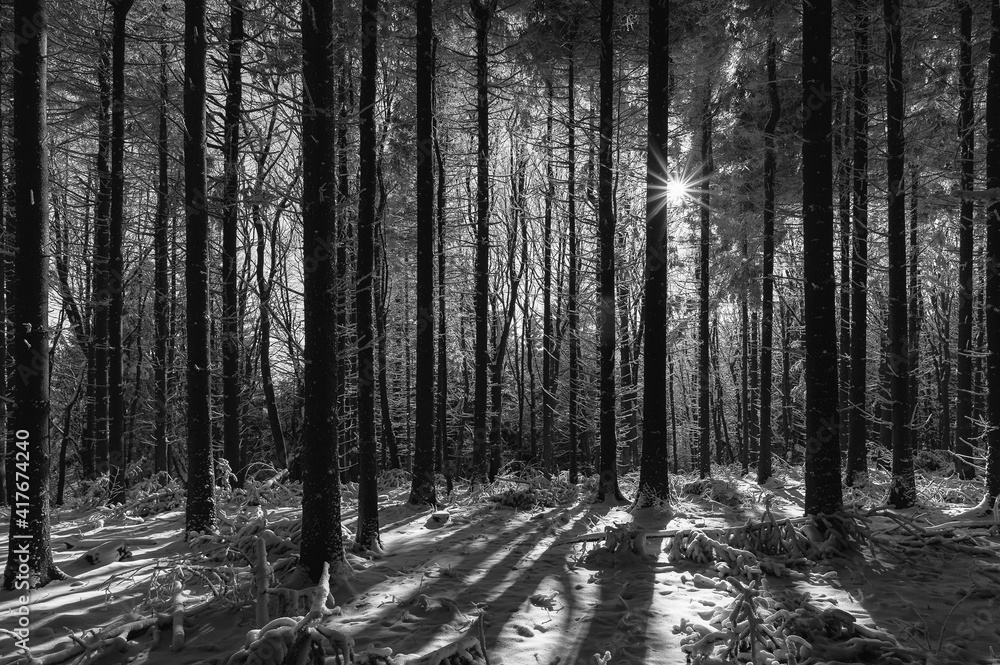 Fototapeta premium Bílé Karpaty v zimě, winter, forester, mounts