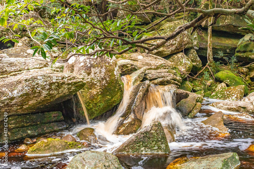 Floresta com musgos e cachoeira na Chapada Diamantina, Bahia