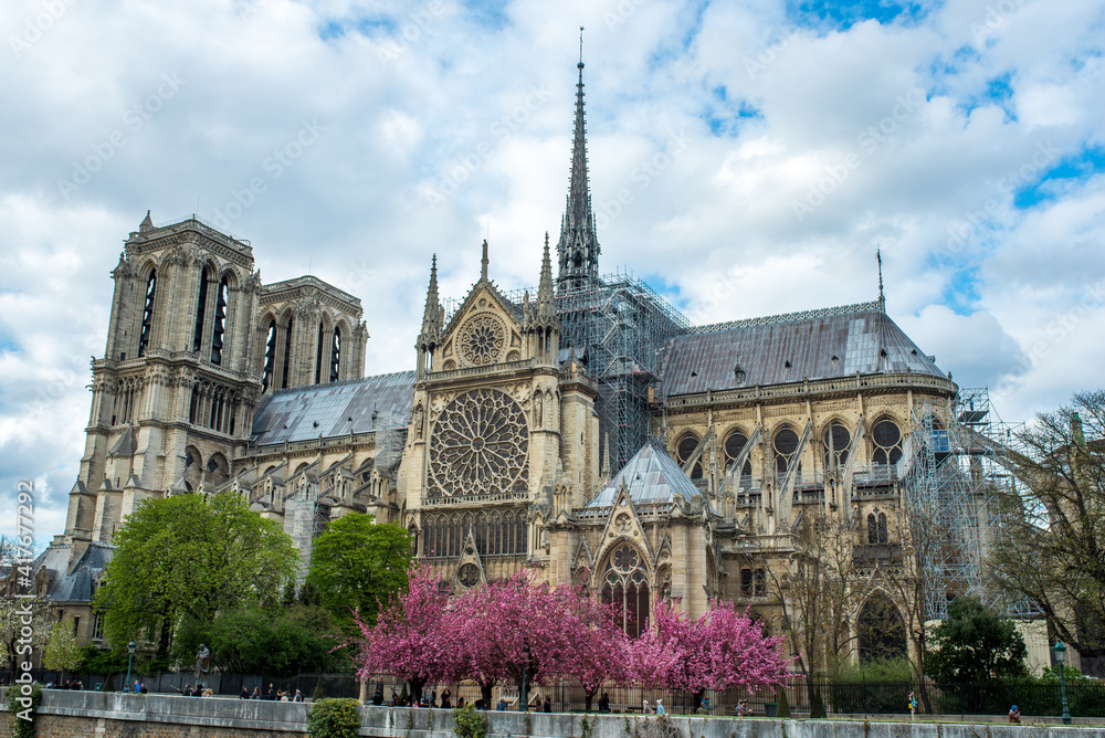 Obraz premium notre dame cathedral