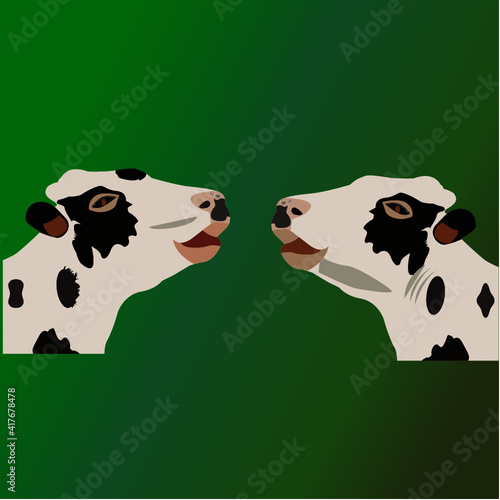 cow animal 