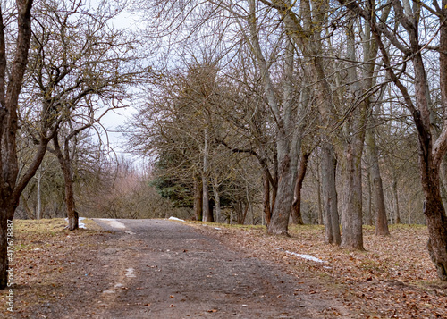 alley in the park